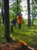 Collecting firewood on The Island