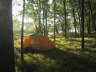 Our site on The Island in the morning, 2004