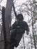 Up in a tree in the Jackson Marsh, 2006